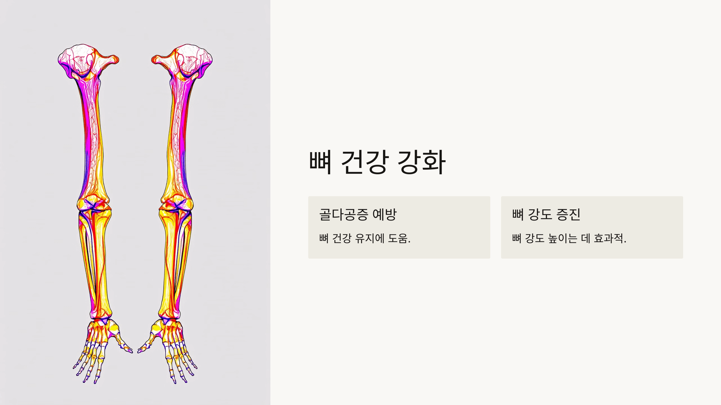 당귀 사진입니다.