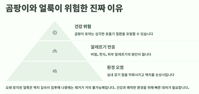 벽지 곰팡이 제거, 얼룩(모기자국,음식,낙서 등) 제거방법: 벽지 청소법