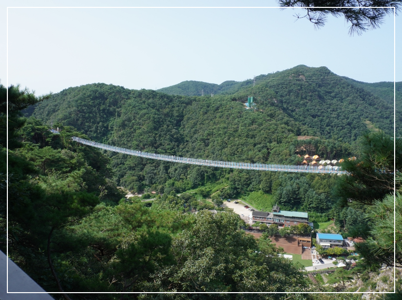 데크길에서 바라본 출렁다리