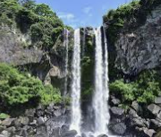 ISFP 유형 특징 분석