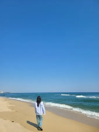 강릉 맛집 추천 여행코스에 포함하기 좋은 식당 리스트_5