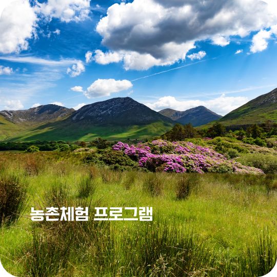 농촌체험 프로그램 선착순 예약하기