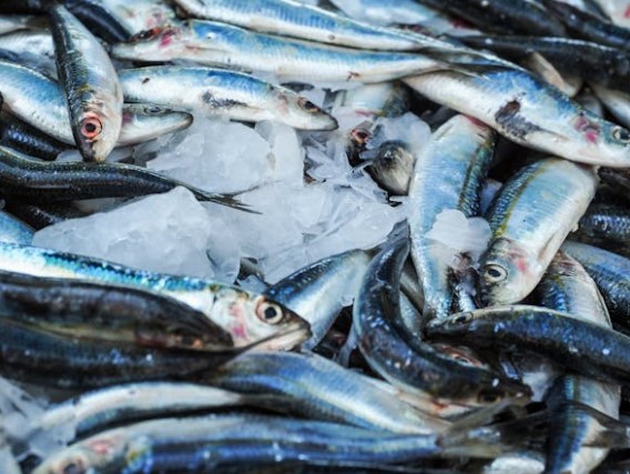 방어 고르는 법