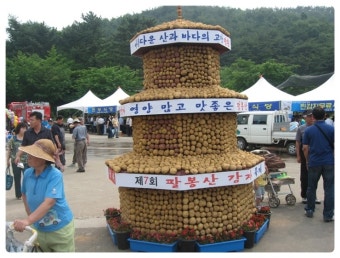 서산 감자축제&amp;#44; 서산 마늘축제