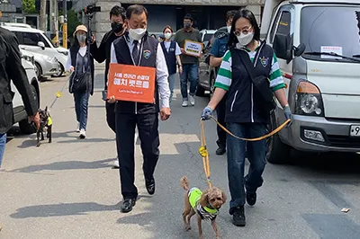 제주 댕댕이 안전지킴이