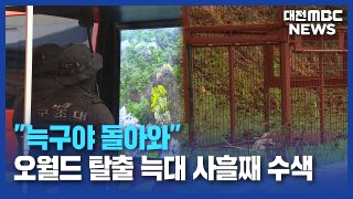 늑구 포획 현상금 청주 암컷 AI사진 총정리