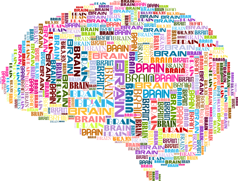 언어가 인간의 사고를 지배하는가, 아니면 표현의 도구인가