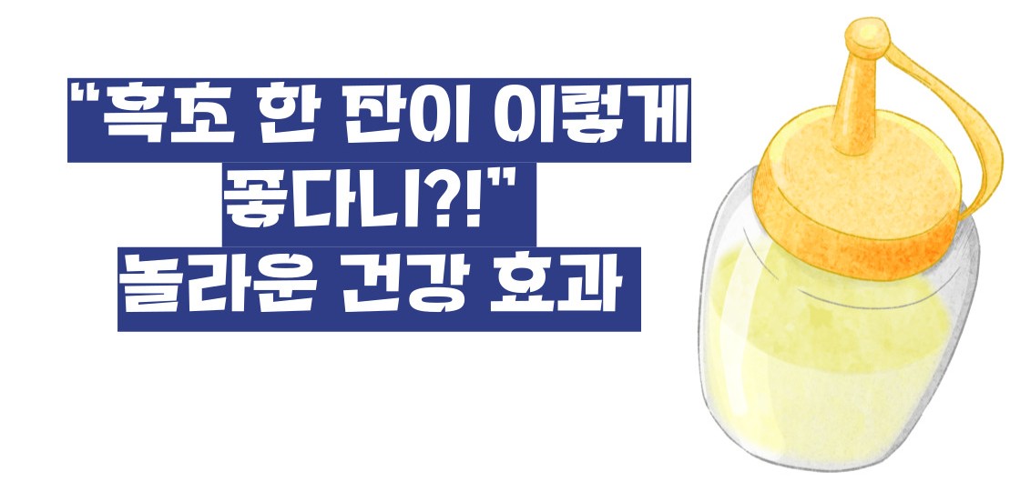 흑초 효능