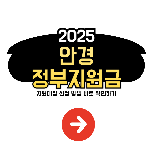 안경 정부지원금