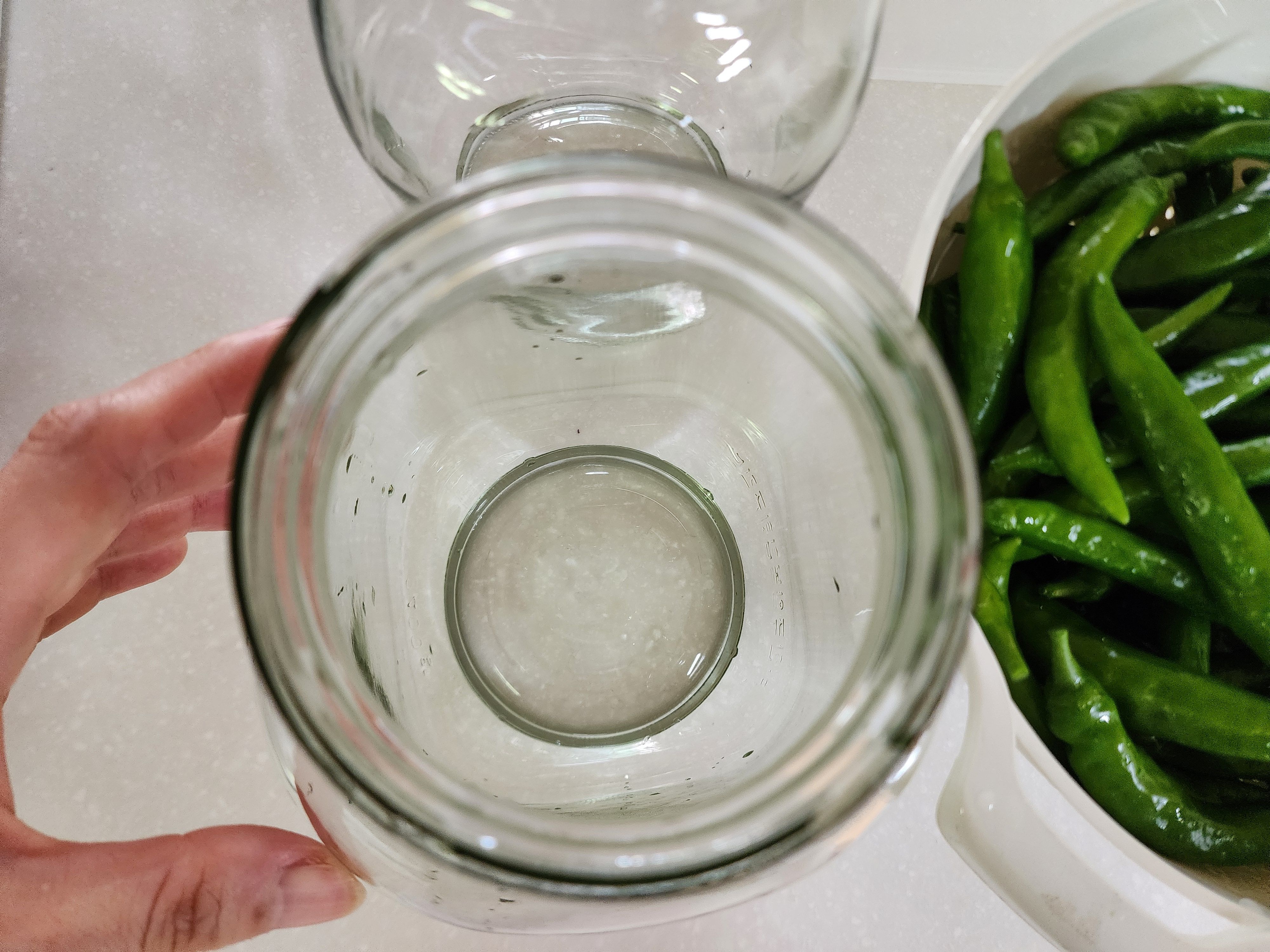 고추장아찌 담그는법&amp;#44; 1년동안 무르지 않게 담그는 비법
