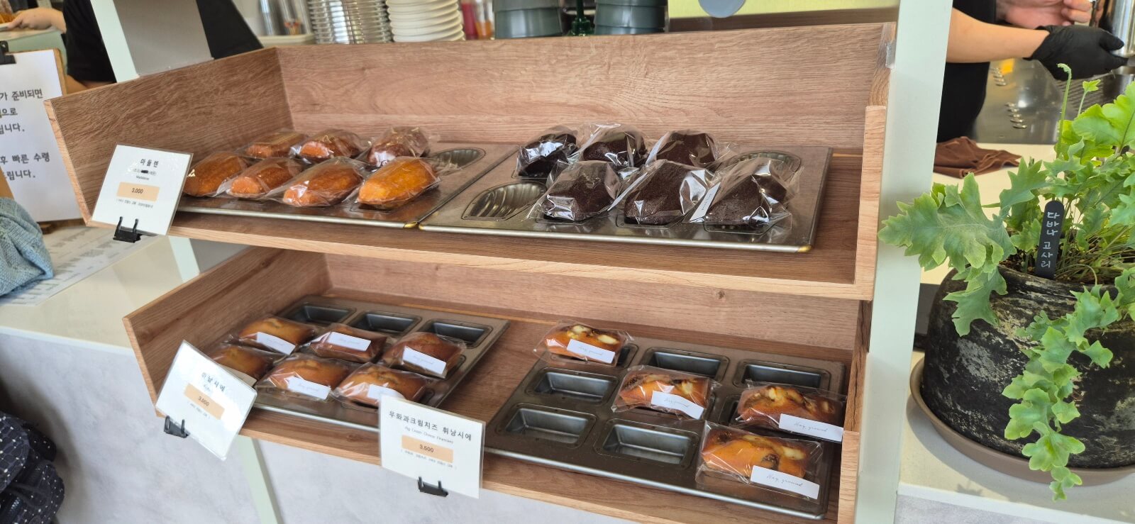 김제 헤이그라운드 리뷰