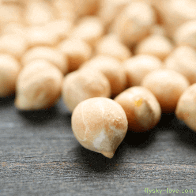 병아리콩 고르는 법