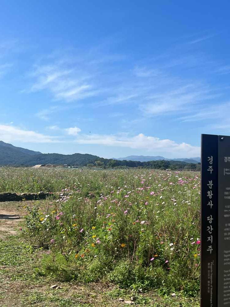 분황사