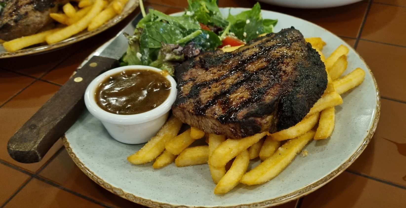 테리걸 호텔 크라운 플라자