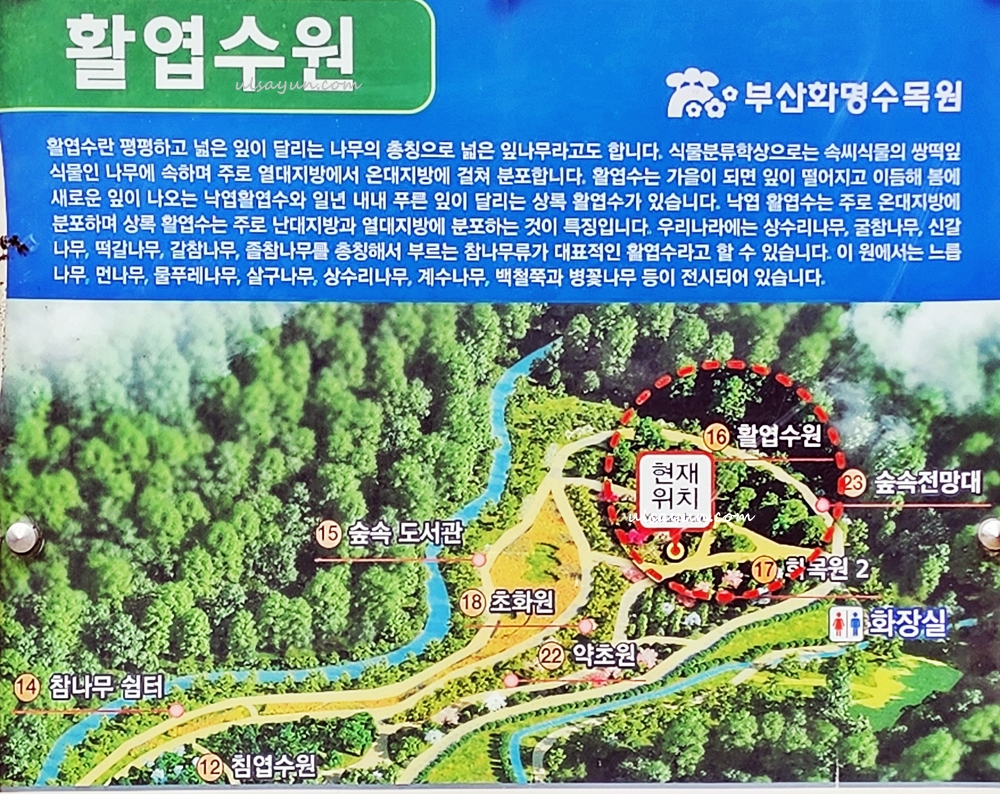 활옆수원