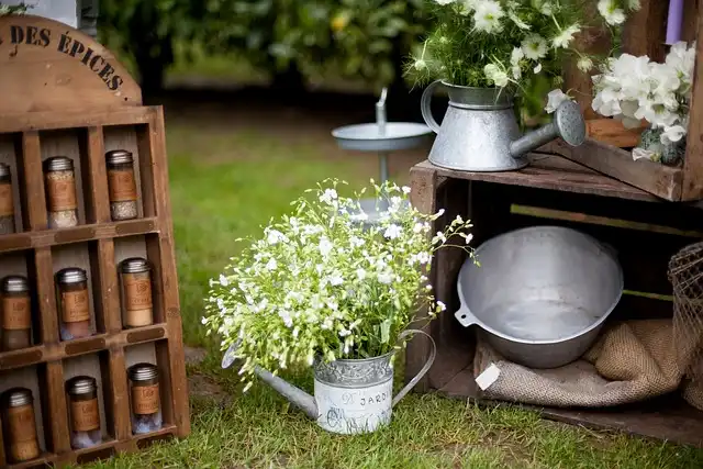 미르메코코리를 &lsquo;단순 공생&rsquo;으로 단정하기 어려운 이유