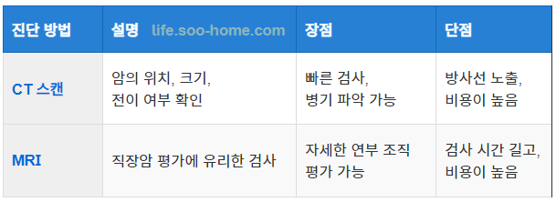CT 스캔 및 MRI