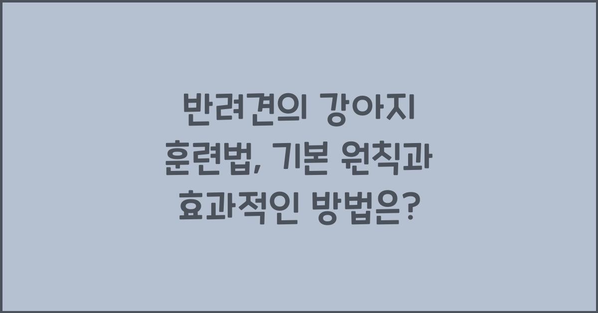 반려견의 강아지 훈련법: 강아지 훈련의 기본 원칙과 방법
