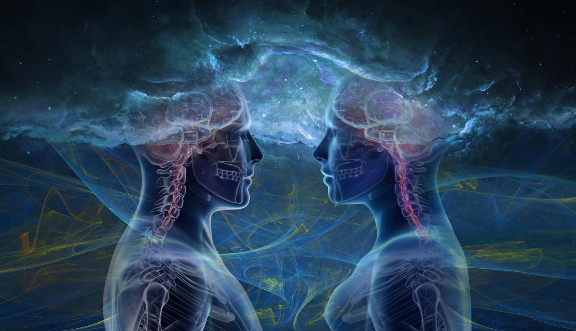 장은 제2의 뇌 – 면역력과 장 건강의 관계