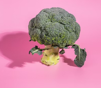 비타민A가 많은 음식