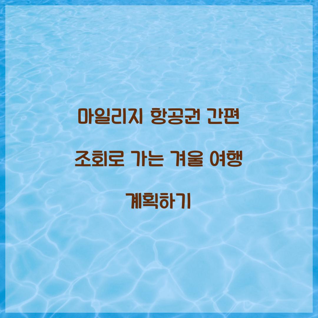 마일리지 항공권 간편 조회