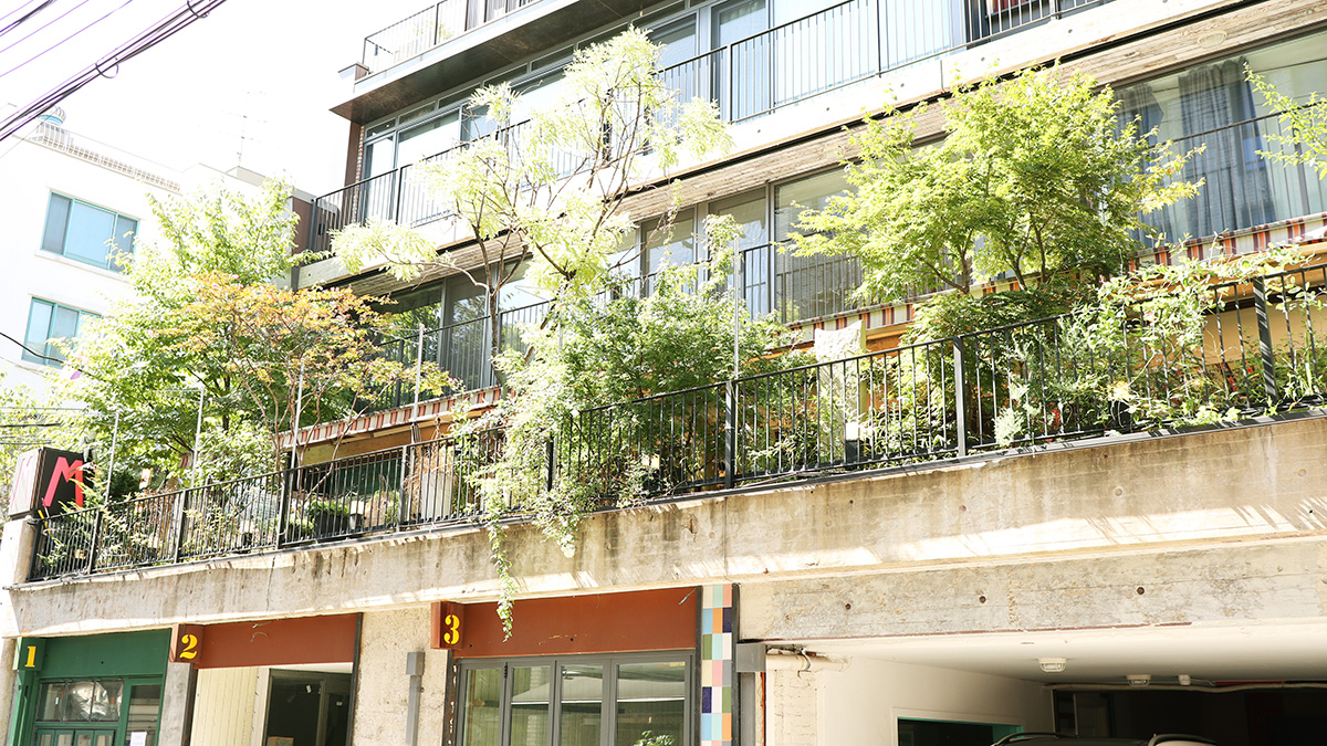 terrace222