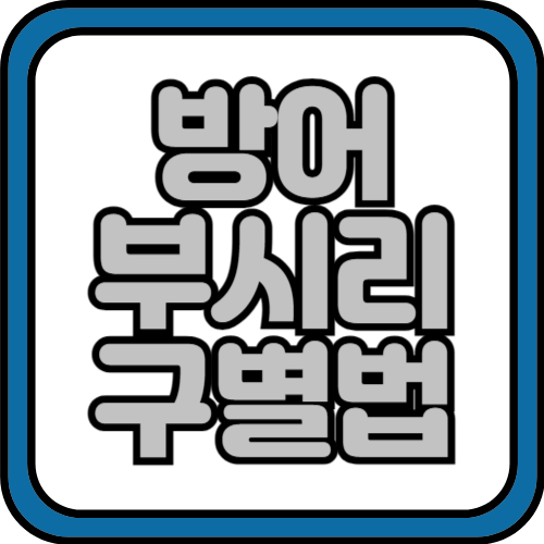방어 부시리 구별법 알아보기
