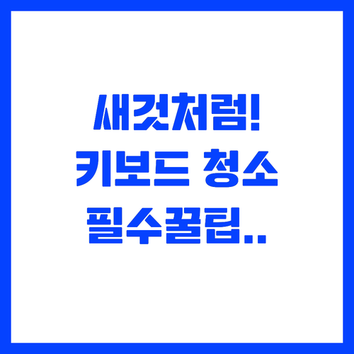새것처럼 깨끗한 키보드 관리 노하우와..