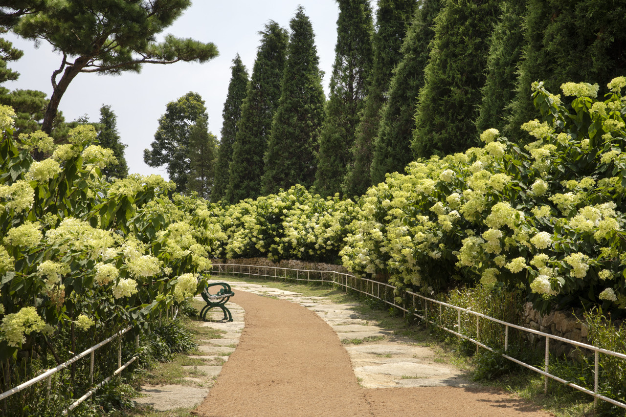 인천 강화도 뷰맛집 카페