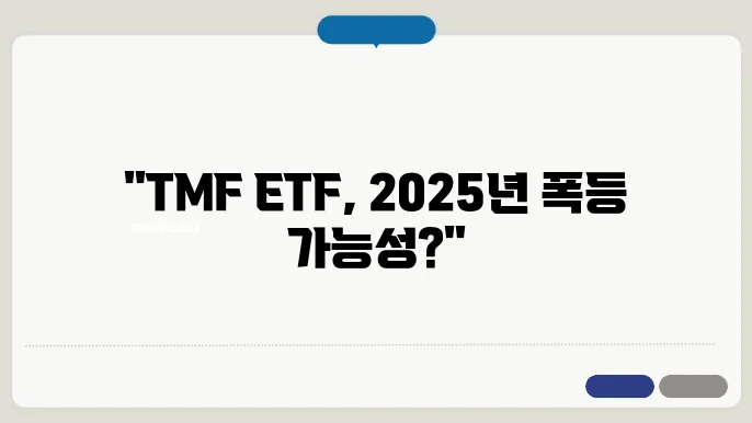 채권 TMF ETF 뜻 2025년 가격 전망은?