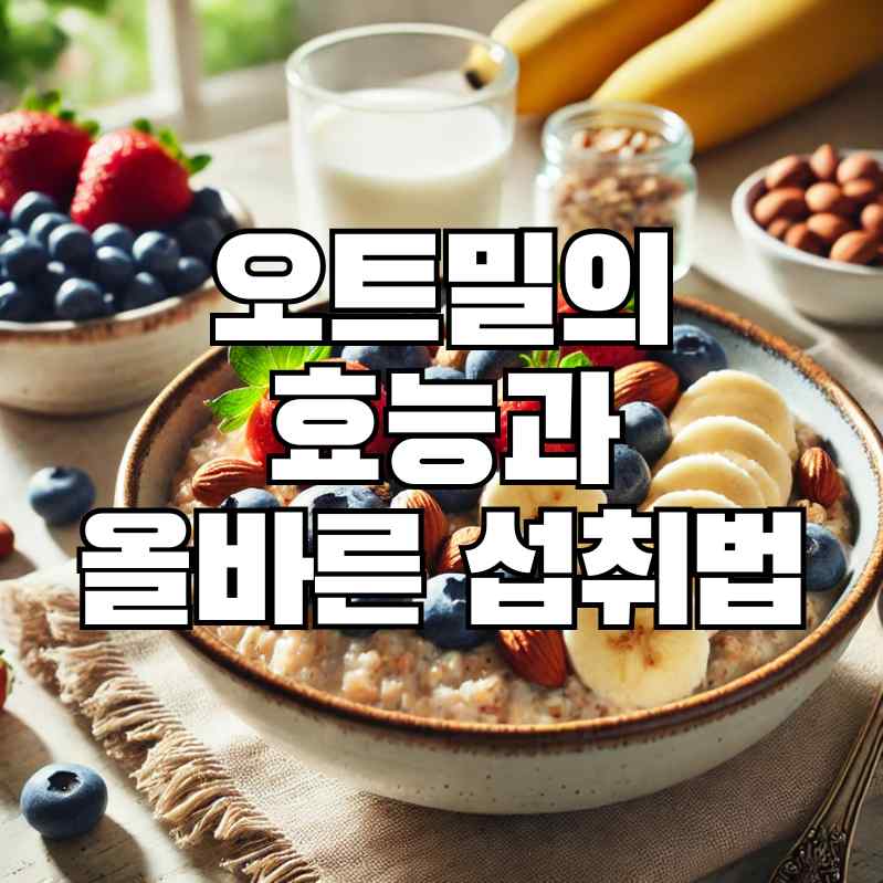 '오트밀의 효능과 올바른 섭취법'의 썸네일