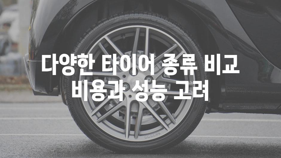 다양한 타이어 종류 비교 비용과 성능 고려