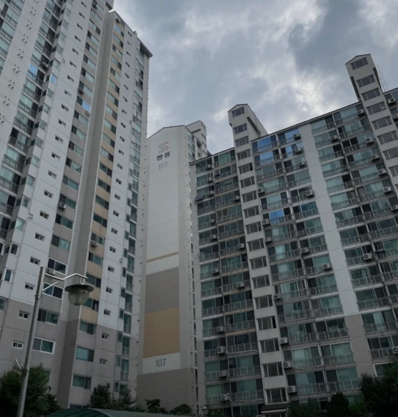 부동산 시장 전망