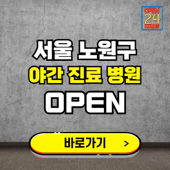 서울 노원구 야간진료 병원 찾기 ❘ 24시 심야 밤 늦게 여는 병원