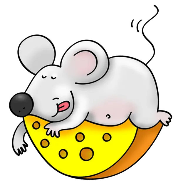 2025년 쥐띠 건강운