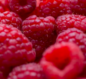 섬유근육통에 좋은 음식 영양제 식단