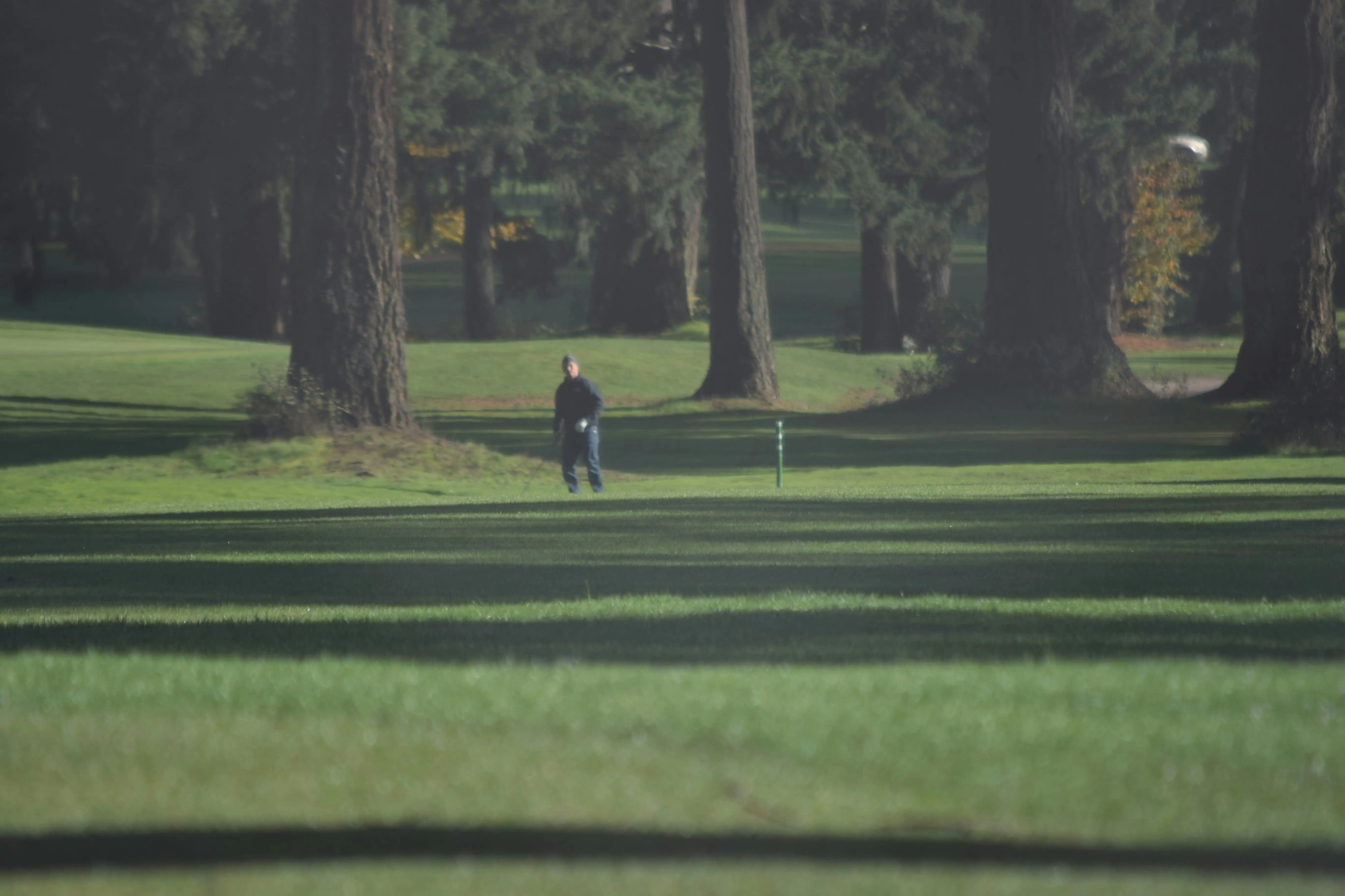 선학파크골프장-예약
