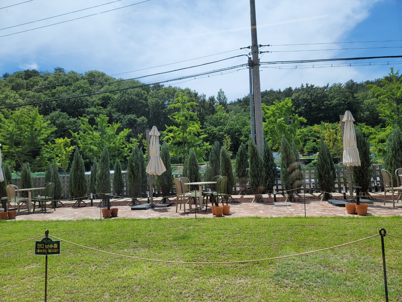 반다이크브라운 야외 모습