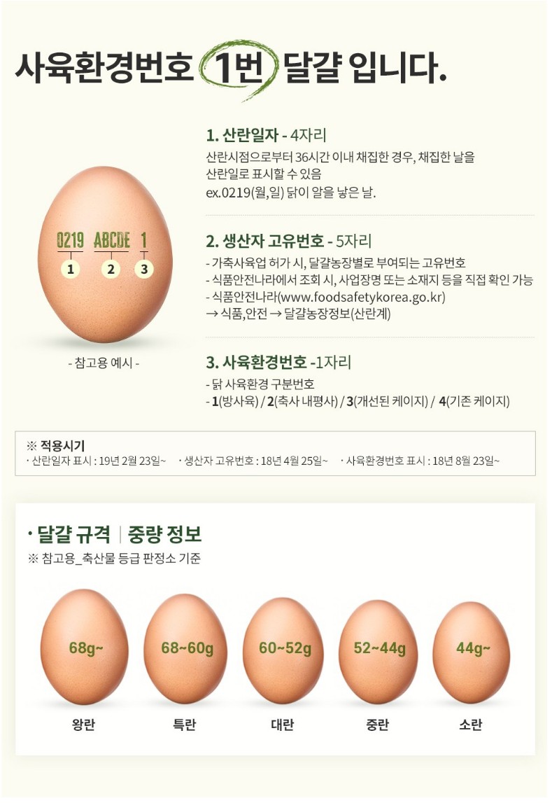 10분 완성! 간단하게 만드는 다이어트 요리 &lt;버섯계란볶음&gt;.