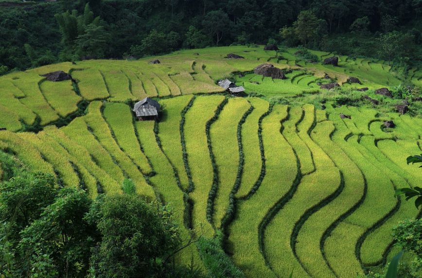 베트남 여행 가이드: 여행 전에 꼭 알아두면 좋은 정보
