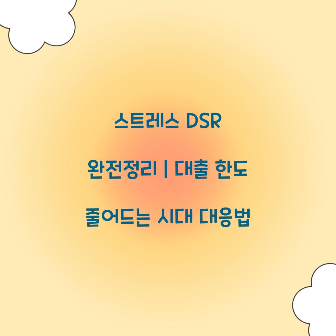 스트레스 DSR 완전정리