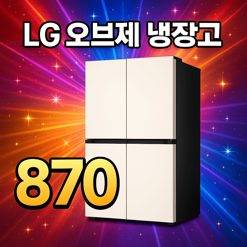 LG 디오스 냉장고 870