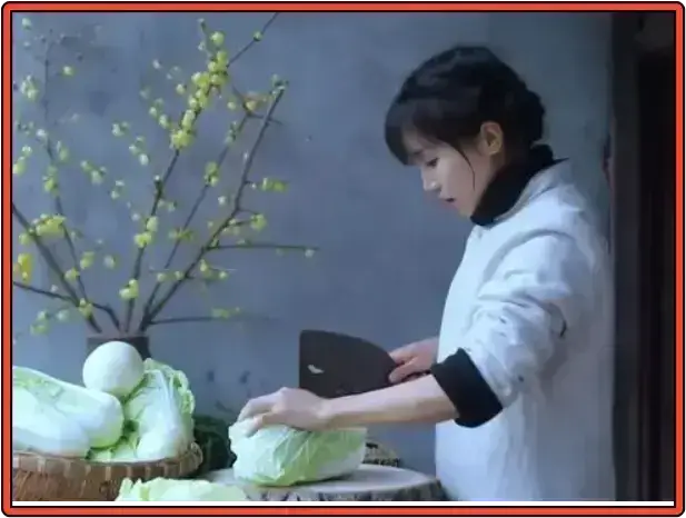 중국-왕홍-팔로워-순위-3위-리즈치