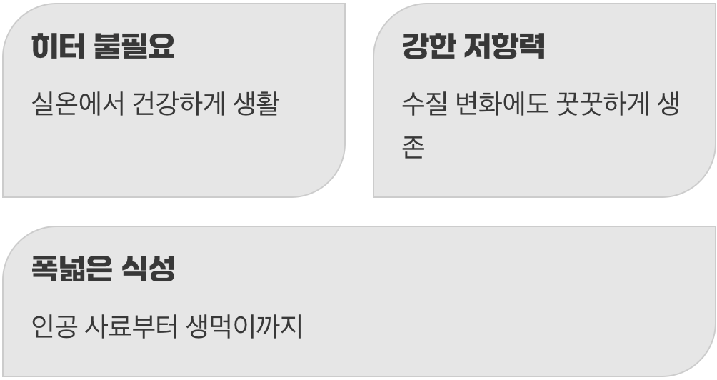 초보 집사에게 최고의 파트너인 이유
