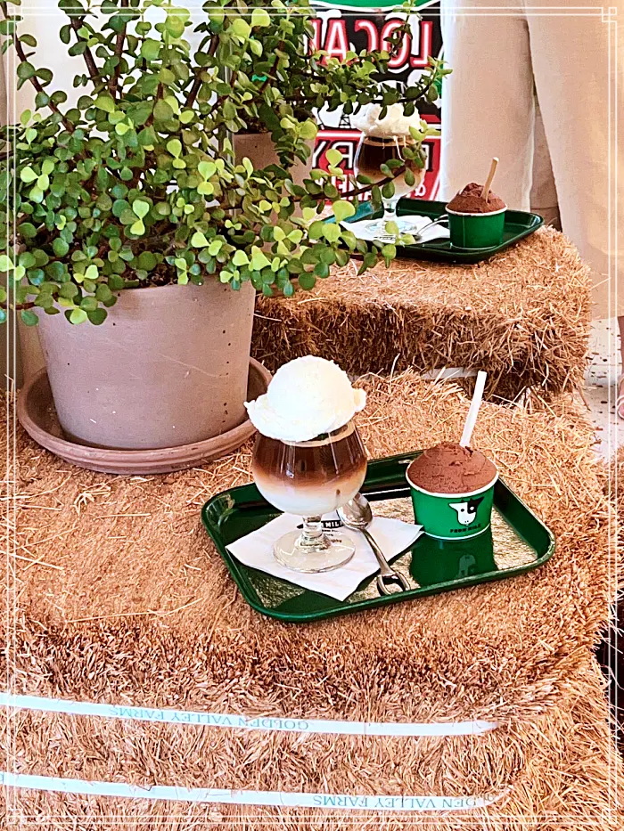 생방송 투데이 가평 터미널 칠학골 수흥목장, 새벽 원유로 만든 수제 유제품, 밀크 카페, 디저트 맛집