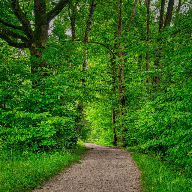 제주 국가숲길 9곳 가이드