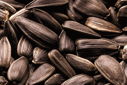 면역력높이는법