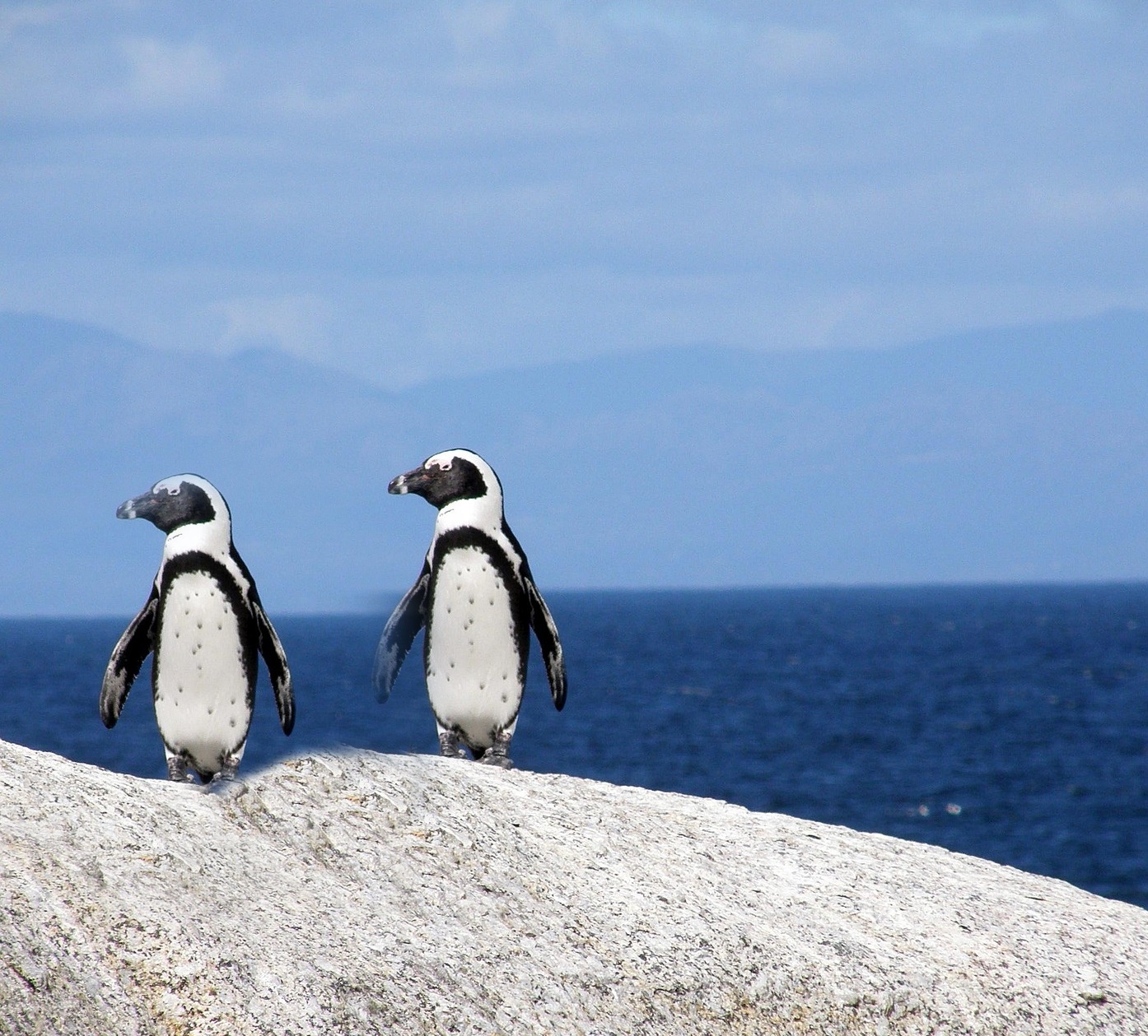 기후 재난이 일상이 된 이유 지금 이 순간에도 진행 중인 5가지 경고 신호