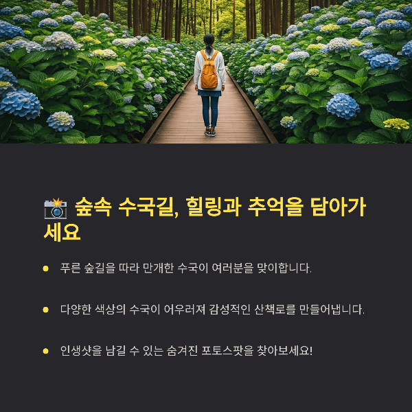 숲속 수국길, 힐링과 추억을 담아가세요