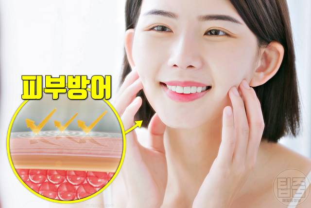 얼굴 건조 각질 세라마이드 효능 피부장벽 강화 회복
